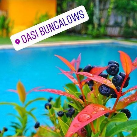 Oasi Bungalows Ξενοδοχείο Νησιά Γκίλι Εξωτερικό φωτογραφία