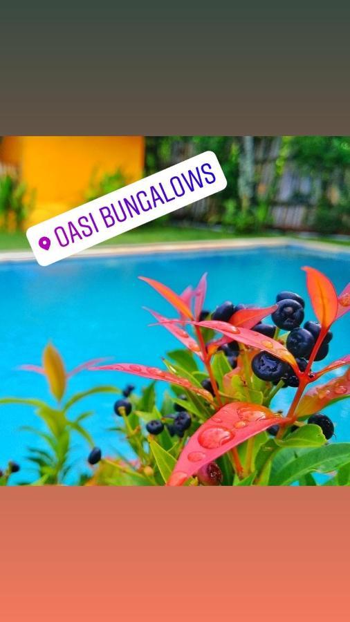 Oasi Bungalows Ξενοδοχείο Νησιά Γκίλι Εξωτερικό φωτογραφία